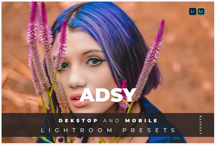 [Elements.Envato] Adsy Desktop and Mobile Lightroo_0.jpg